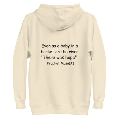 H101 Classic Pullover Hoodie (Unisex) (Beige)