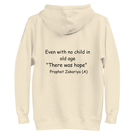 H103 Classic Pullover Hoodie (Unisex) (Beige)