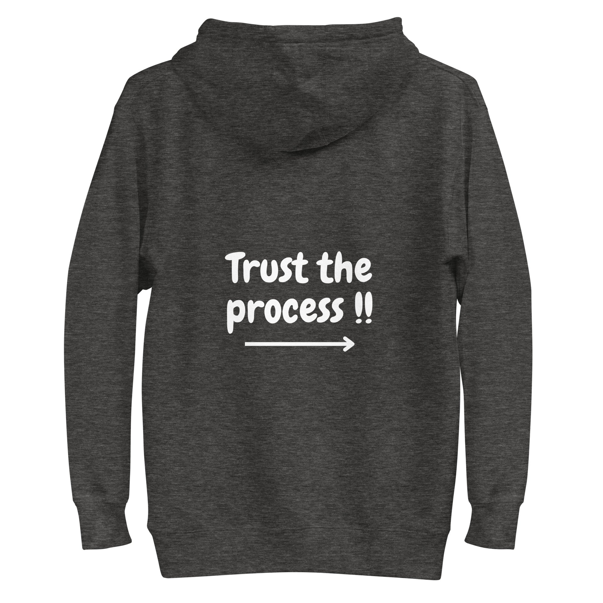 Ze_th Motivational Men Pull over Hoodie 104 (Gray)