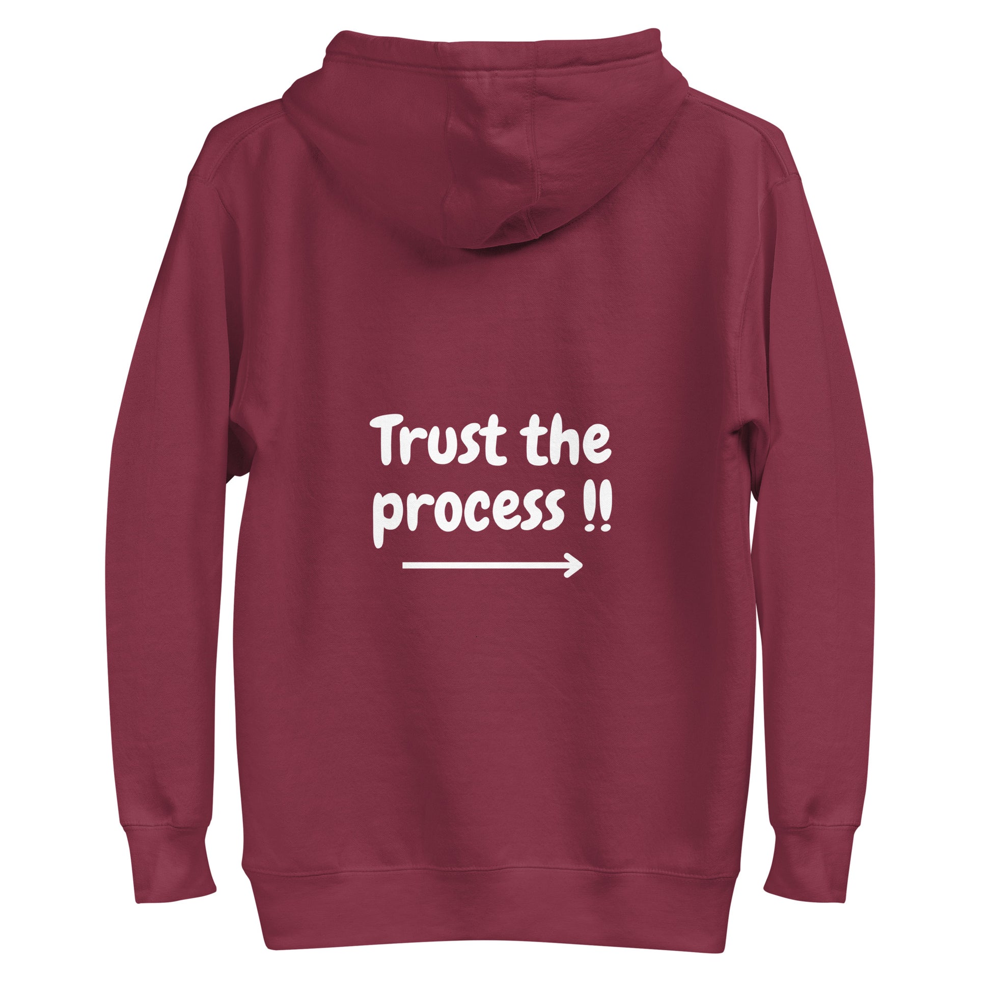 Ze_th Motivational Men Pull over Hoodie 104 (Red)