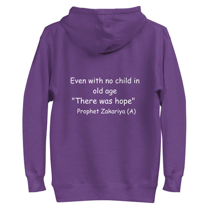 H102 Classic Pullover Hoodie (Unisex) (Purple)