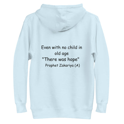 H103 Classic Pullover Hoodie (Unisex) (Blue)