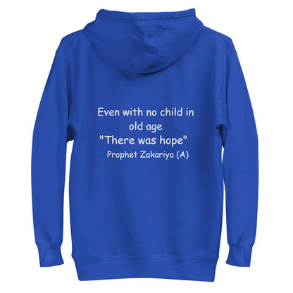 H102 Classic Pullover Hoodie (Unisex) (Blue)